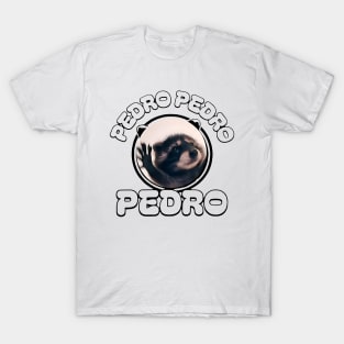 Raccoon Pedro Funny Dancing Meme Funny T-Shirt